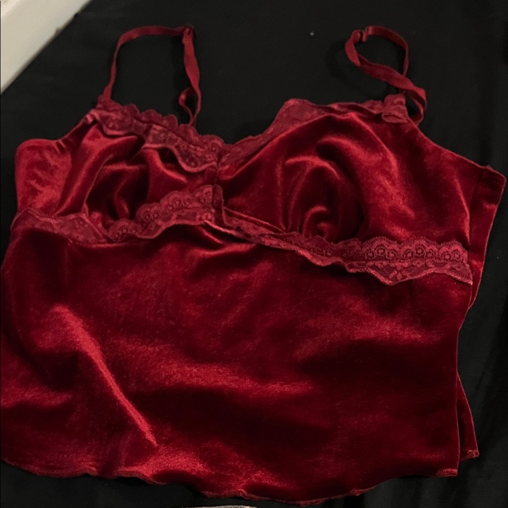 SHEIN Deep Red Velvet Top